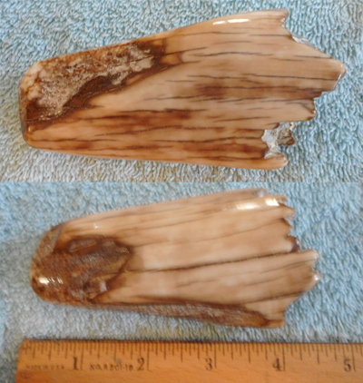 Image 04