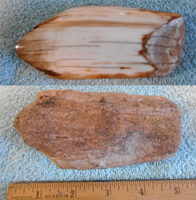 Image 04