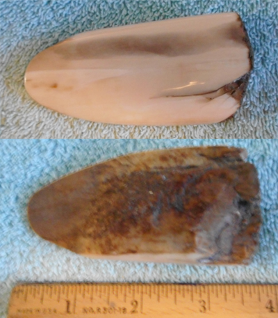 Image 04