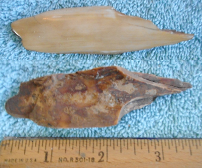 Image 04