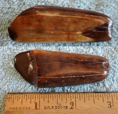 Image 04