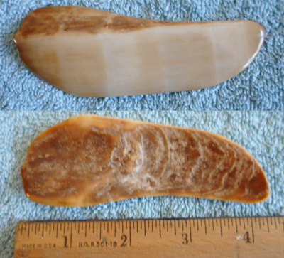 Image 04