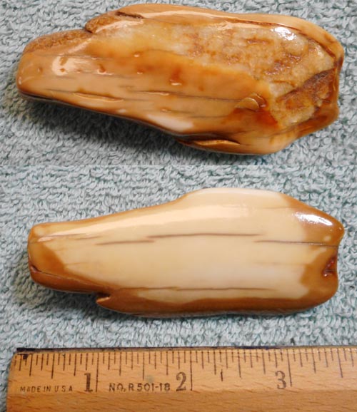 Image 04